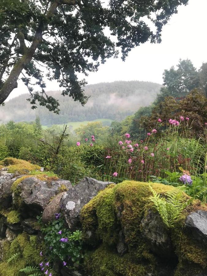 Holiday home Eagles View Private - Y Coed *